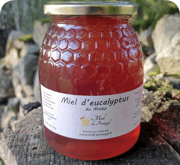miel eucalyptus