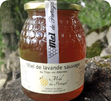 Miel de lavande sauvage